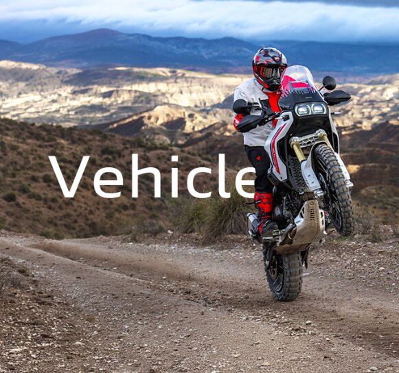 Ducati DesertX V2 Action Shot