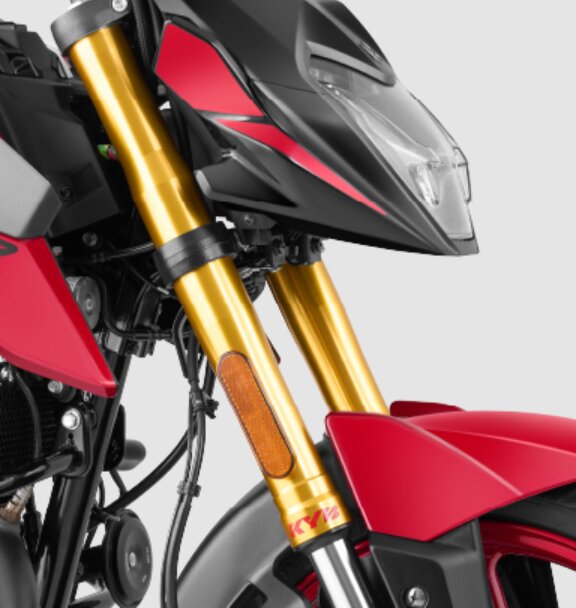 Hero Xtreme 160R 4V Carbon USD Forks